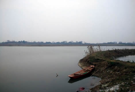 非法养殖被警方抓获,公安打击非法饲养