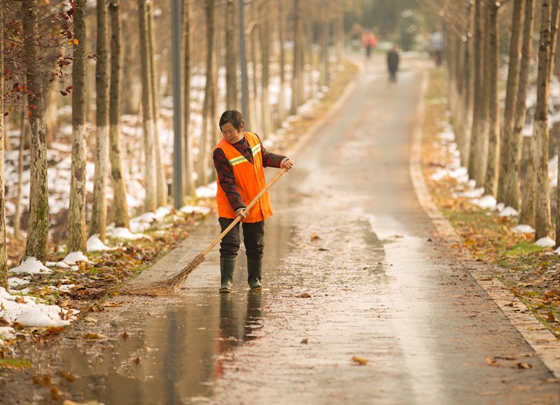 奉贤最富的镇排行榜,奉贤第一名