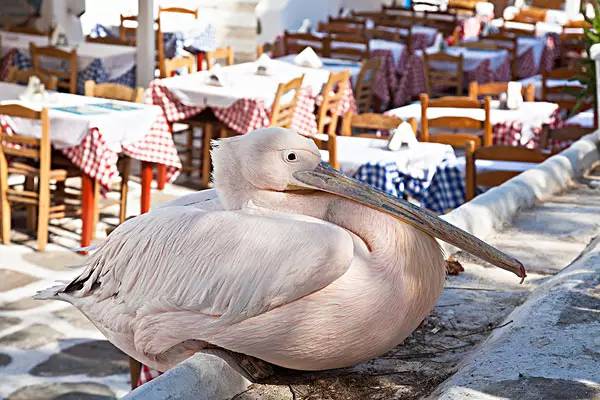 安逸生活在希腊,有一种幸福叫我在广西