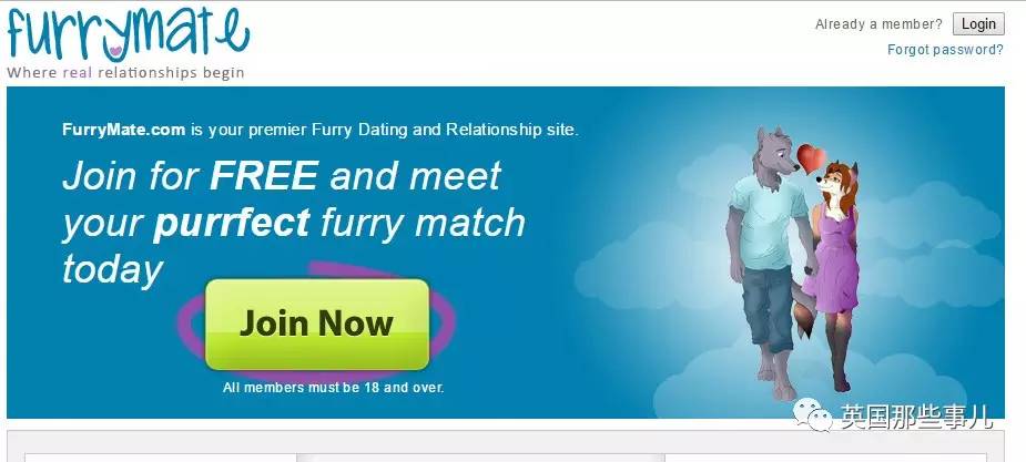 美国婚恋相亲网站,美国的婚恋交友网站