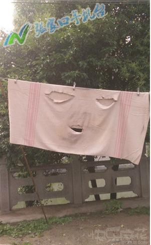 张家口新闻联播回放10月21号,张家口今日头条电视台新闻