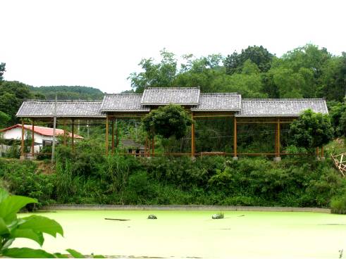 南宁旅游游山玩水景点推荐,南宁周边农家乐景点推荐