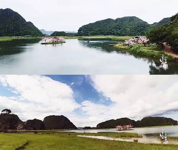 不管你变成什么样我都永远爱你,无论你变成什么样子我都爱你如初