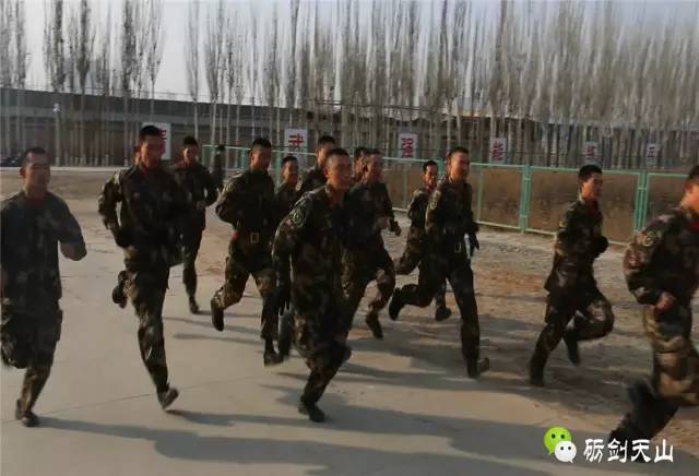 丰富警营文化有哪些活动,警营文化活动实施方案