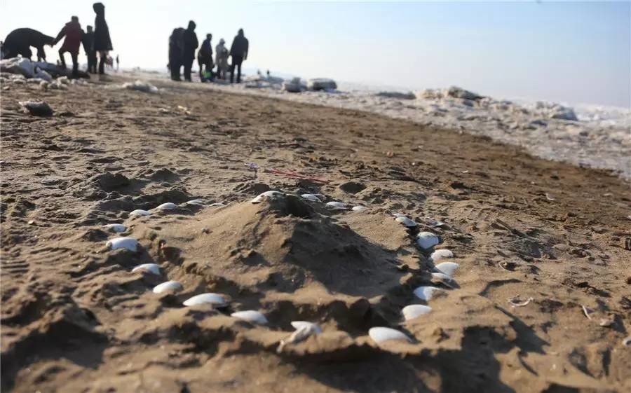 大连冬季小众景点有哪些,大连冬季必去景点推荐攻略