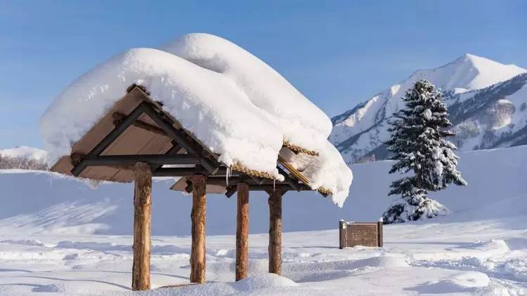 最新喀纳斯禾木视频,新疆喀纳斯禾木冬天视频