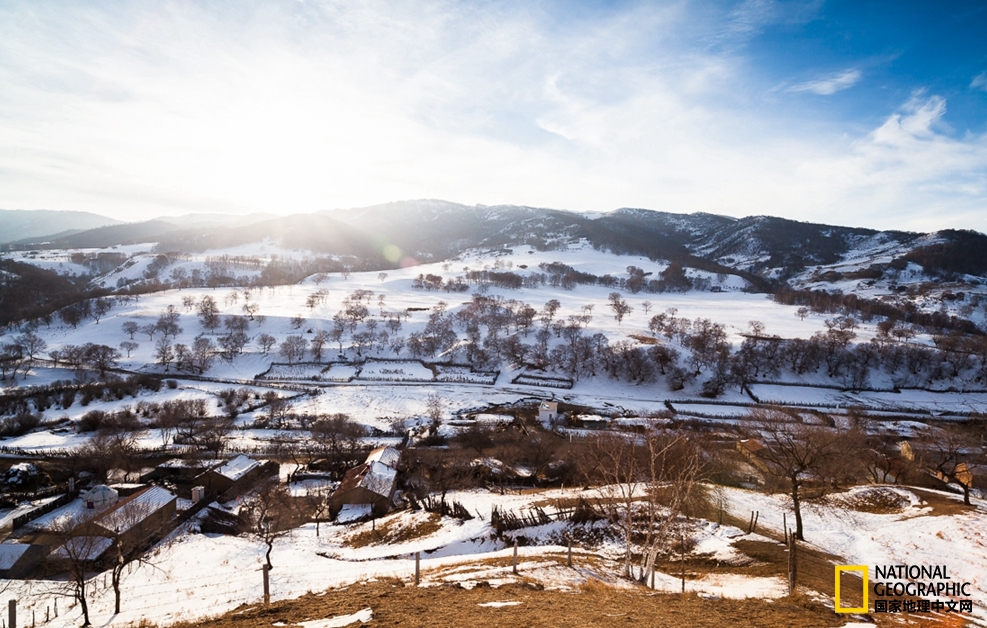 趁冬天还没有来临之前去一趟,一起到坝上去看雪