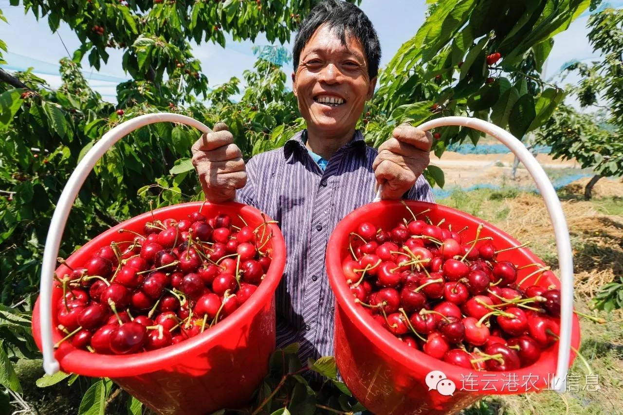 现代农业十强十佳名单,我省农业交出亮眼成绩单