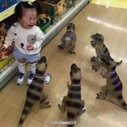 太搞笑了图片,搞笑照片看你们能憋几秒不笑