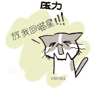 搬新家、换新厕，却被差评？“本喵憋屎抗议！”