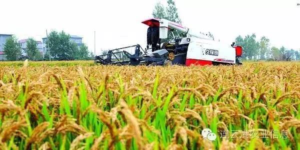 现代农业十强十佳名单,我省农业交出亮眼成绩单