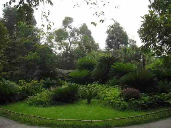 成都通讯录top1,2018最全成都通讯录