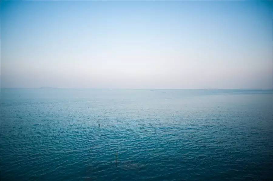 在被称做“东方瑞士”的仙境，她盖了一座令人心境荡漾的房子，森林与大海都在后花园里