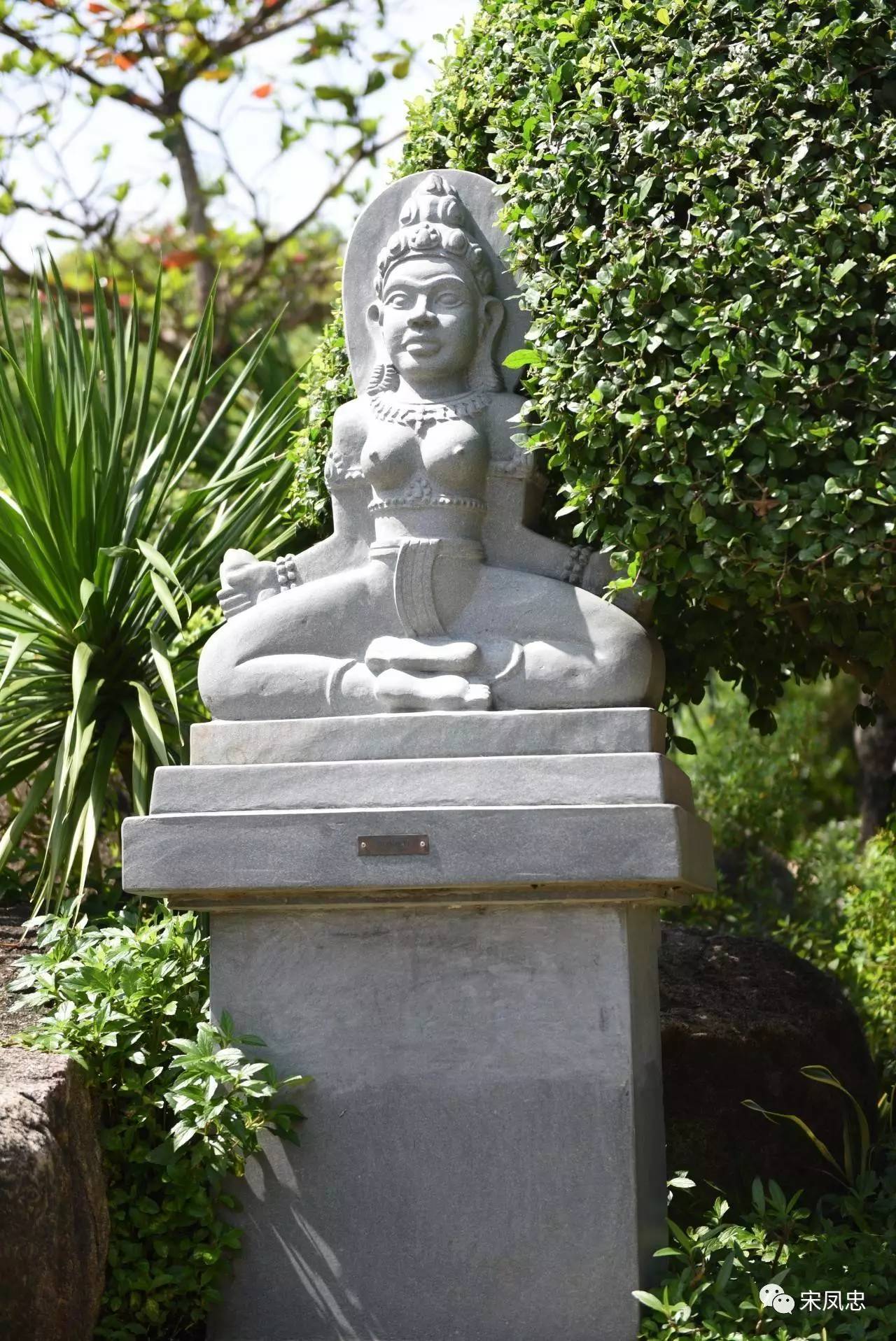 我的越南之旅旅行日记,旅行日记越南