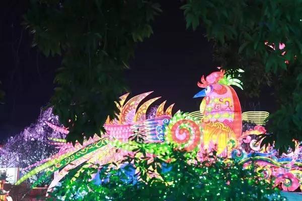 自贡第30届灯会,自贡今年灯会65岁是否免票观灯