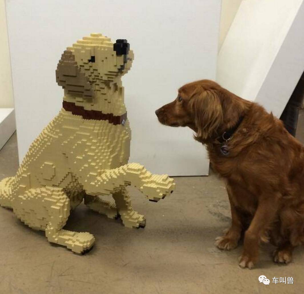 车叫兽推荐一款解压好物，让假期的你在休闲中逼格翻倍……！