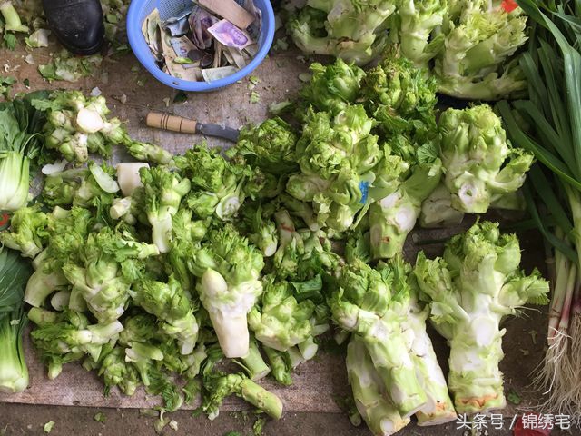 在北方不容易买到的时令蔬菜,这些特色蔬菜你见过吗