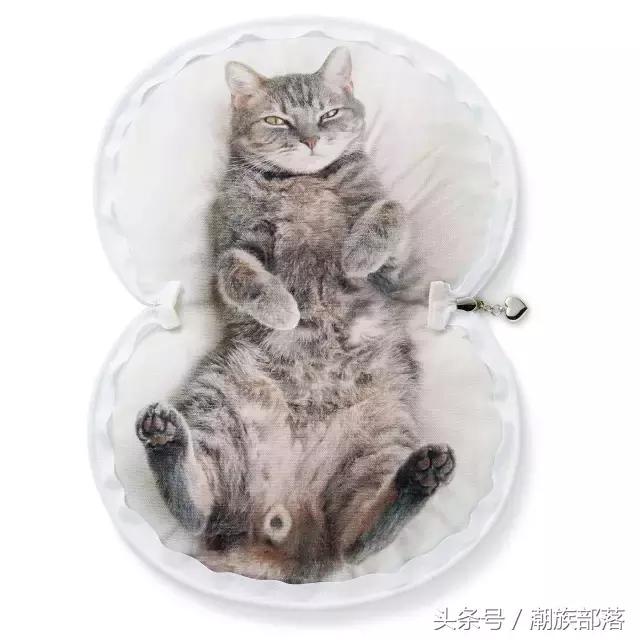 猫控营养补充剂,猫控
