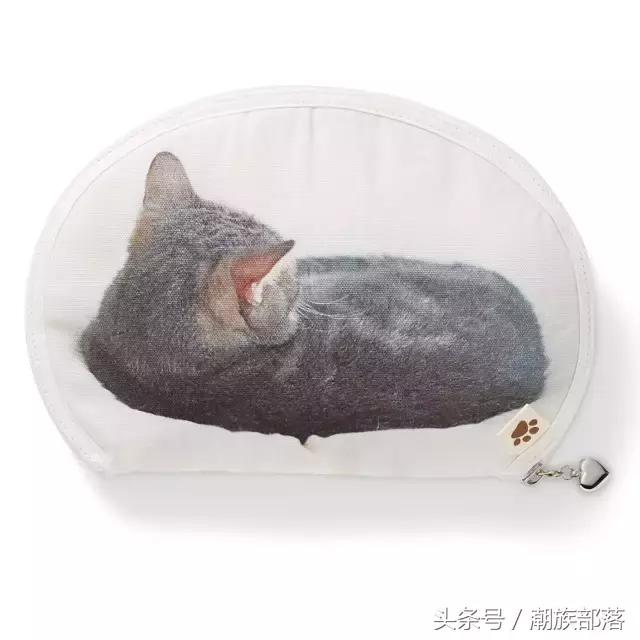 猫控保健,猫控送什么礼物