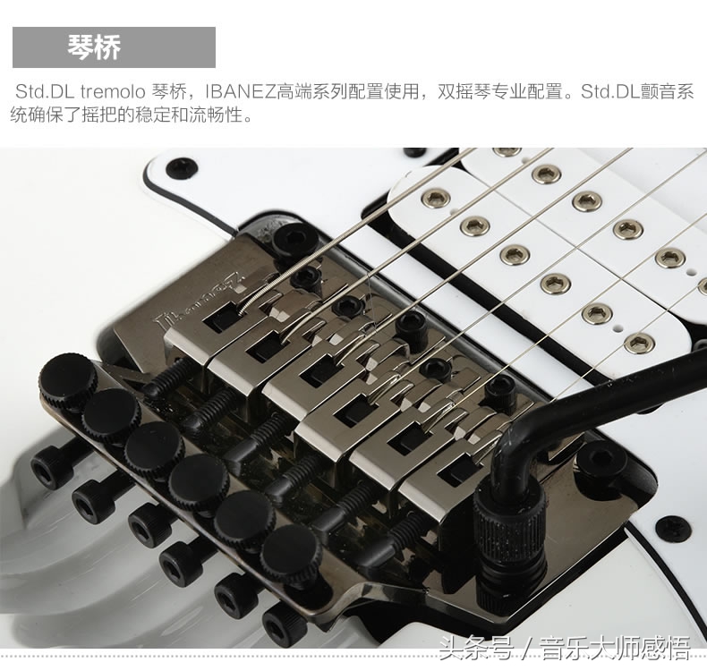 家驹教你弹吉他,家驹的吉他在哪里