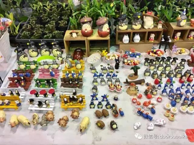 春节花市的鲜花,春节能看花的植物