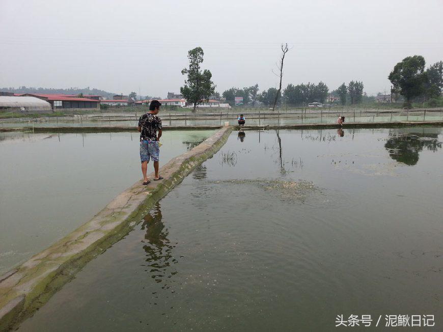 养殖什么成本小又能赚钱呢,养殖这方面哪些成本低些又好赚钱