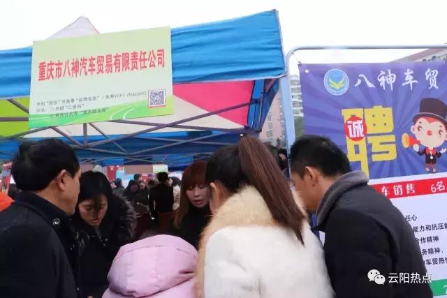 云阳公益性岗位招聘,云阳县2024年人才引进