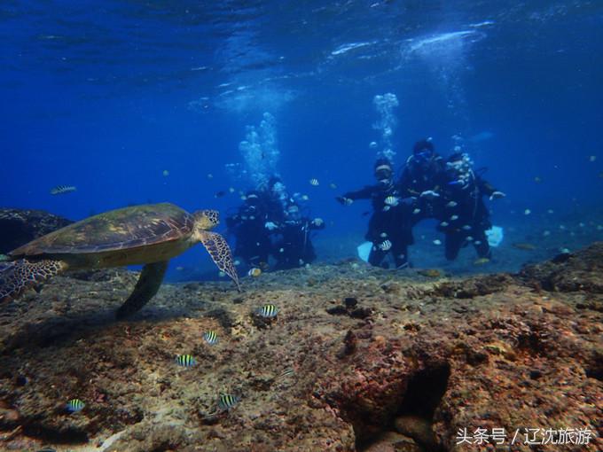 去台湾看自然风景,台湾小众景点