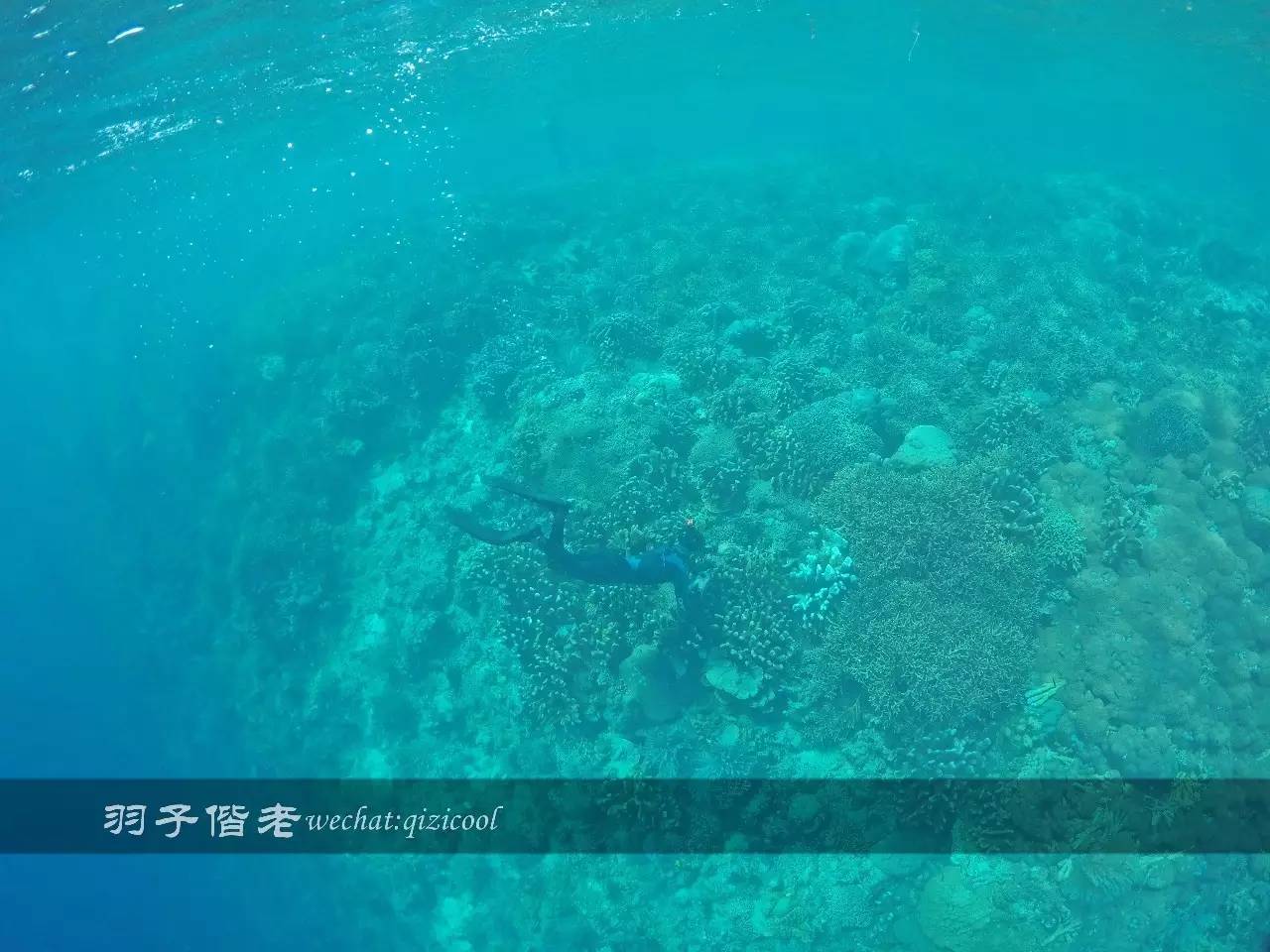 印尼美娜多旅游潜水攻略,印尼美娜多潜水圣地