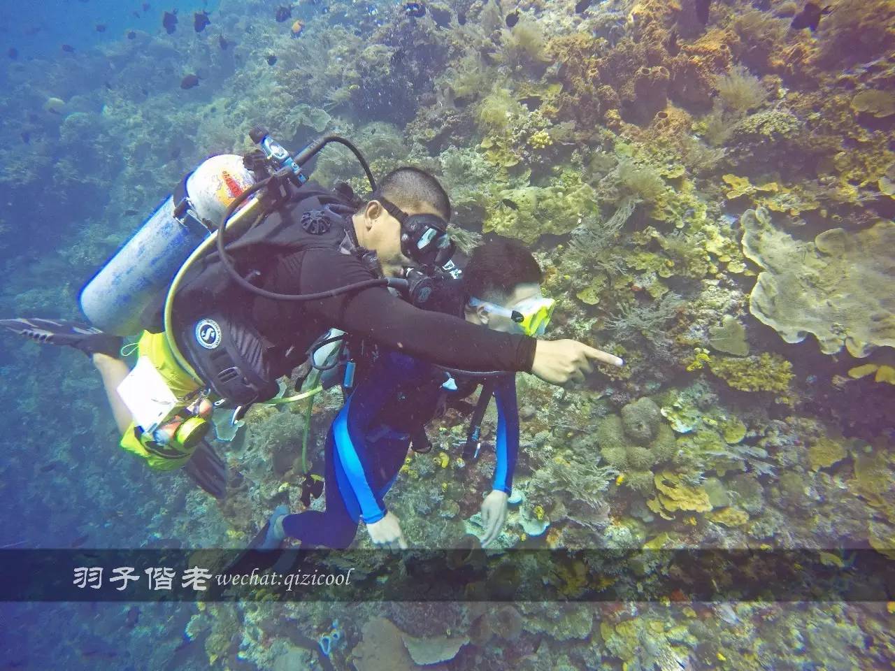 美娜多海岛一日游,印尼美娜多跟团游