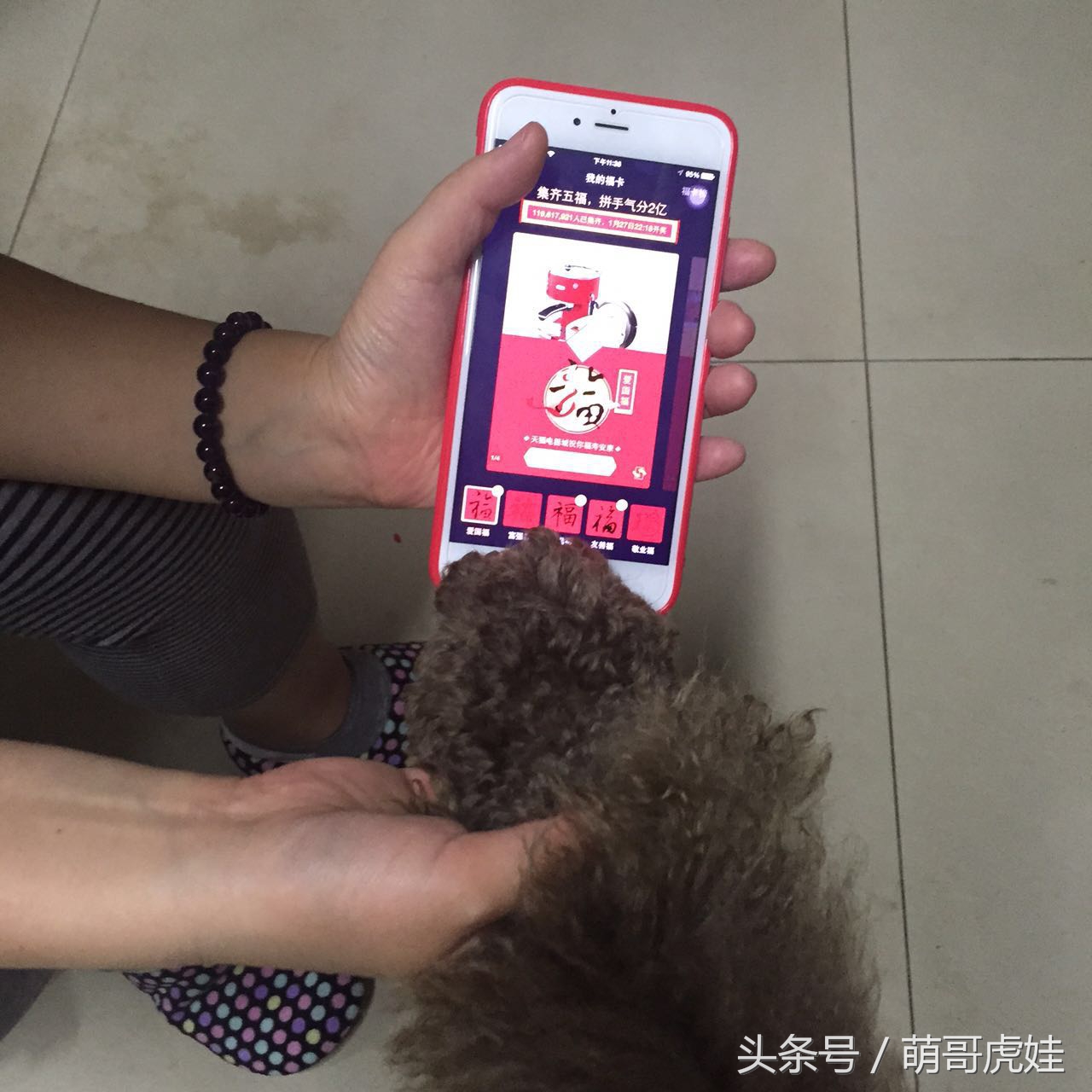 大狗狗也来集五福：那么多和谐福万能福我怎么一个也没见到