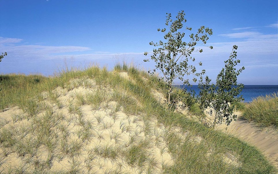 美国最漂亮的公园是哪里,大峡谷国家公园美国