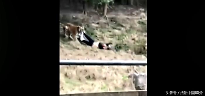 湖北男子携一家四口到宁波雅戈尔动物园游玩，不料就此丢了性命