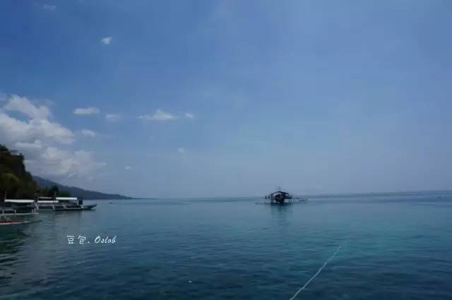 除了鲸鲨，这里还有复活节和GinginLuna的故事