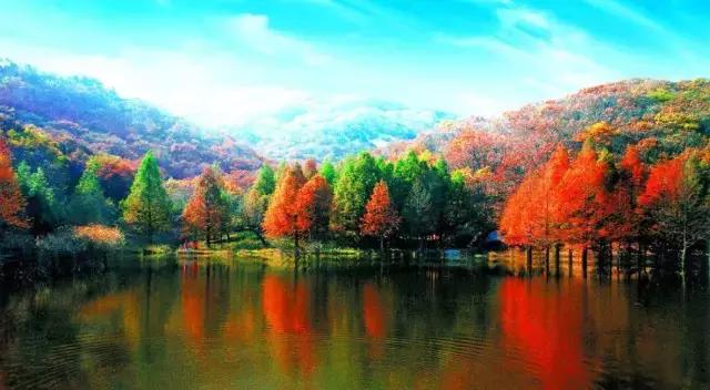 2022洛阳门票免费的景区,洛阳小浪底景区门票免费吗