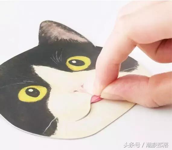 猫控营养补充剂,猫控