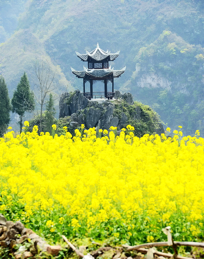 贵州原始古寨景点,贵州清静的古寨
