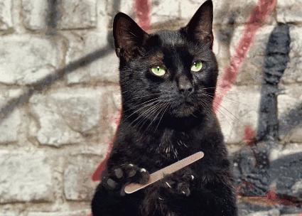 揭开几大养生常识真面目,揭秘添加剂的秘密