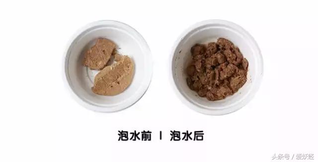 国外冻干粮,最好的冻干粮排名