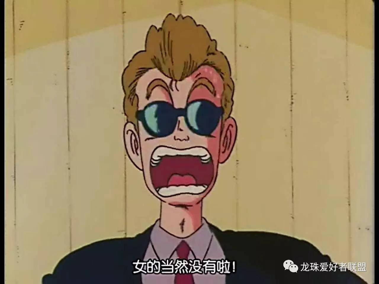 七龙珠小林最强之战,七龙珠第20集