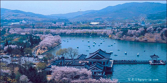 中韩文化交流年闭幕活动举办,中韩文化交流活动方案