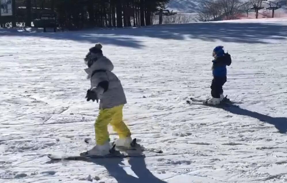 安吉考拉的视频,安吉考拉海边度假