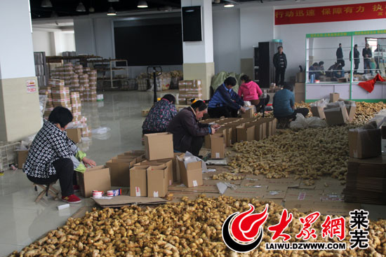 地理标志产品莱芜生姜,关于莱芜生姜品牌故事