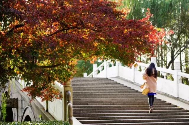 120岁生日倒计百天！爱浙大有120个理由，也许1个已足够！