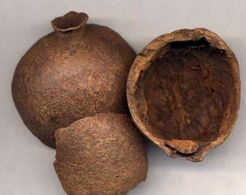 厨房里的好药建议收藏,15个藏在厨房里的天然好药