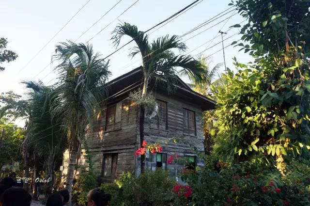 除了鲸鱼海豚还有哪些哺乳动物,除了鲸鲨还有什么鱼比较大