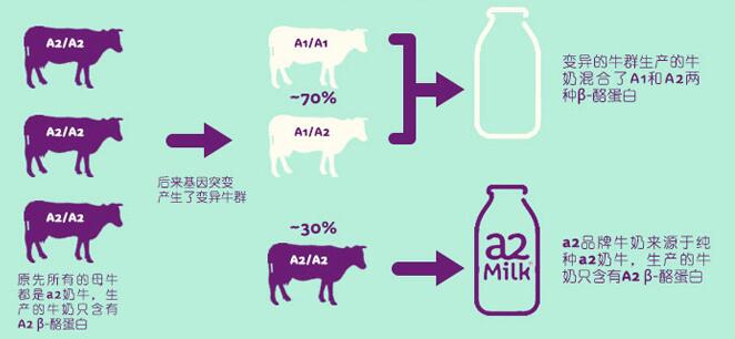 为什么澳洲奶粉配方简单,俄罗斯奶粉好还是澳洲奶粉好