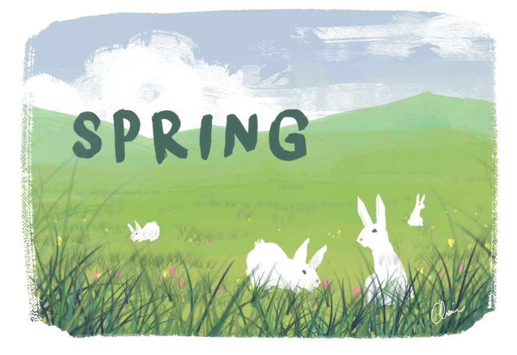 春天泉水英语,春天的泉水里有一个弹簧