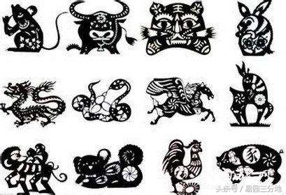 十二生肖吉凶表属兔,十二生肖兔算命大全