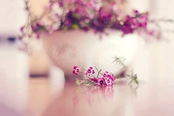 适合与属龙属相做兄妹的属相,属龙的最佳配偶属相是什么属相